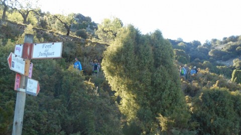 Ruta Jacobea CS, 3ª etapa Serra d`Engarceran-Segarró 039