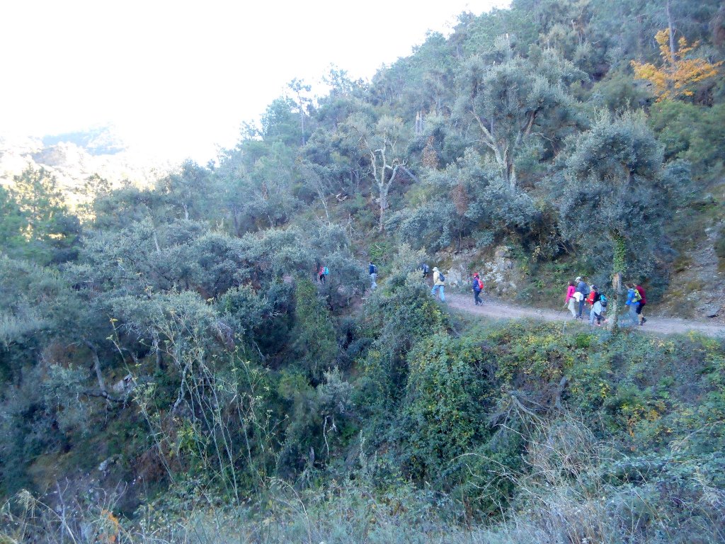 Algimia de Almonacid-Barranco de Aguas Negras-Cueva del Estuco 058