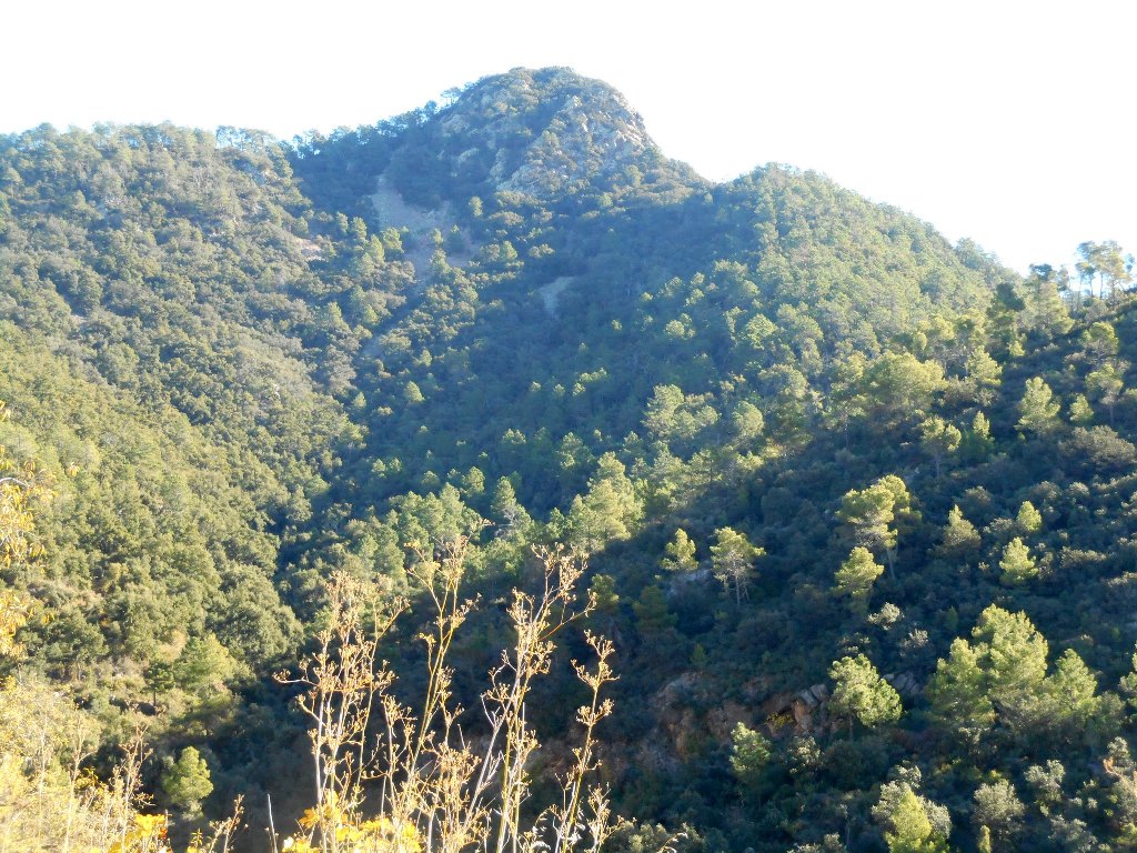 Algimia de Almonacid-Barranco de Aguas Negras-Cueva del Estuco 067