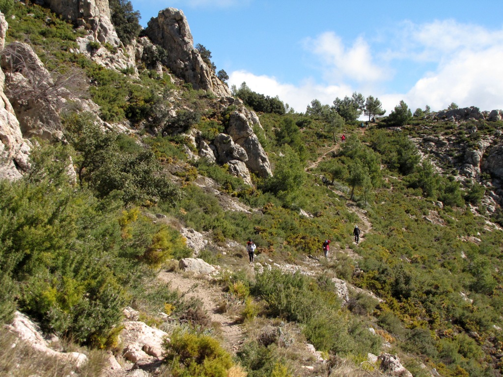 Pina de Montalgrao-Cueva Cerdaña 041